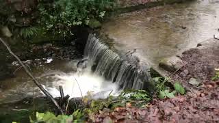 Biddulph grange country park  in the staffordshire moorlands