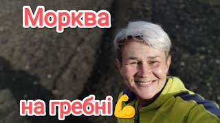 СІЮ МОРКВУ НА ЗИМУ☝️ВАЖКИЙ ГРУНТ НЕ ПЕРЕШКОДА💯