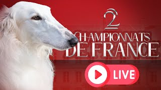 REPLAY - Live du double Championnat de France du chien de race 2021 - Ring d'honneur du dimanche