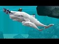 Hungry Shark Evolution Moby Dick Android Gameplay #4