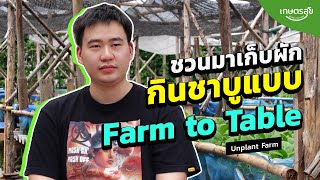 ชวนมาเก็บผักกินชาบูแบบ Farm to Table lเกษตรสุข l EP.65