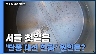 [날씨] 서울 첫얼음...'단풍 대신 한파' 원인은? / YTN