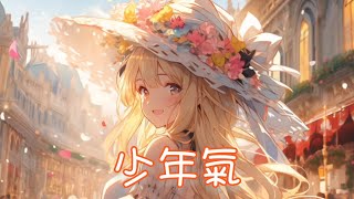 Nightcore - 少年氣【錦零】(中文歌詞Lyrics) ♪​委託♪​