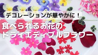 デコレーションが華やかに!!食べられるお花のドライエディブルフラワーのご紹介