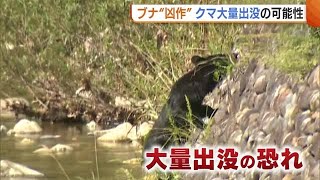 「クマも食欲の秋」エサとなるブナは“凶作”… 新潟県内“クマ大量出没”の可能性で専門家が警鐘 (23/09/26 19:12)