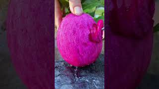 Do you know this fruit? #viral #shorts