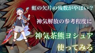 【白猫プロジェクト】タイムチャレンジ【絶級】神気茶熊ヨシュア　ソロ