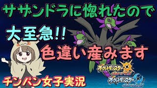 【ポケモンUSUM】ちょっとだけ仲間大会報告会しながら固定孵化【初見さん歓迎☆】