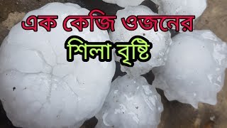 শিলা বৃষ্টির তুফান এক কেজি ওজনের শিলা বৃষ্টি-Terrible hail-শিলাবৃষ্টি একটি গ্রাম চূর্ণ-বিচূর্ণ করেছে