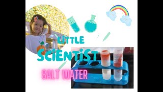 Salt Water Experiment | 色素扩散 | Little Scientist
