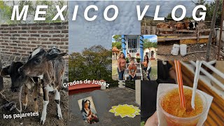 WKND IN MY LIFE IN MEXICO 🇲🇽 | exploring my parents hometown  ❊