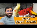 நம்ம புதிய Open Birds Aviary | Dream Project | Outdoor Aviary