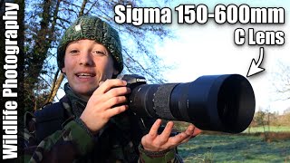 Winter Morning Wildlife Photography Vlog with the Sigma 150-600mm Lens | SO MUCH WILDLIFE!