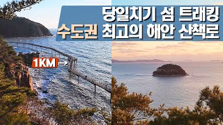 🚘 서울근교 당일치기 해안산책로 | 꼭 가봐야 하는 환상의 길 | 인천 첫 국립자연휴양림 | 무의도 하나개해수욕장 - 소무의도 일몰 🌅 | 등산 여행 트레킹 하이킹 hiking