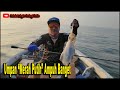 SABC #12 Wild Fishing Community-EXPERIMENT Pakai umpan cumi warna merah putih || dapat CUMI JEGER