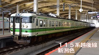 １１５系越後線（新潟駅）