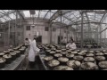 Western 360 - Biotron Greenhouse