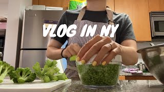 【vlog】American stationery, the progress of my English, cooking dinner using frozen food #nyc #vlog