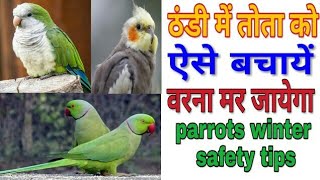 तोता को ठंडी से कैसे बचायें !!parrots winter safety tips !  In Hindi