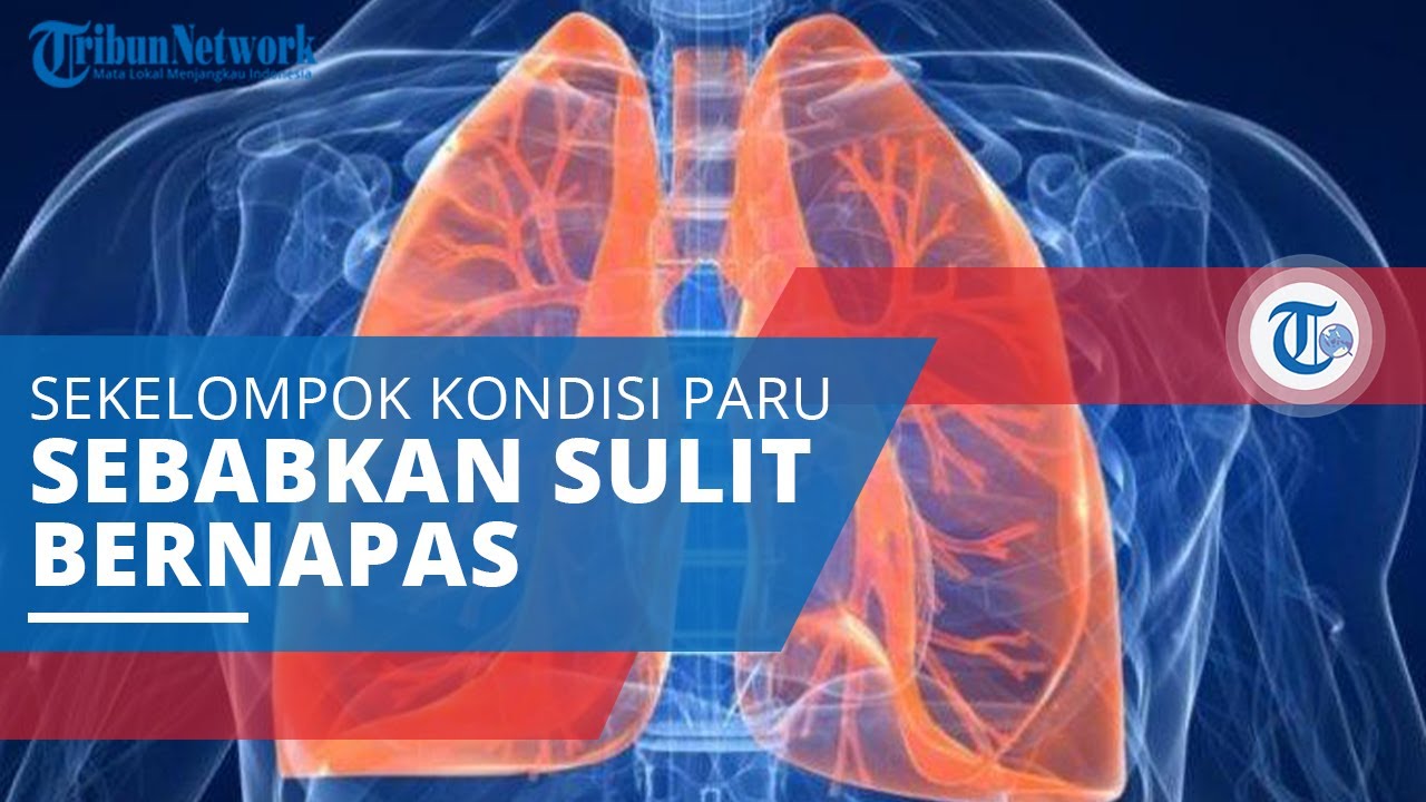 Penyakit Paru Obstruktif Kronis (PPOK), Sekelompok Kondisi Paru Yang ...