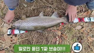 [신스타낚시브이로그]말로만 듣던 7짜 브송이??!!!환장하네~