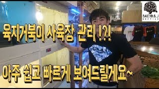 귀여운 파충류!! 육지거북이!! 사육장 관리?? 아주 쉽습니다~ 쉽고빠른 관리법 보여드릴게요~! [파충류샵 발토앤제이TV]