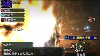 【MHX】初見 獰猛化銀火竜 ライトボウガン ソロ 16分30秒 獰猛化リオレウス希少種