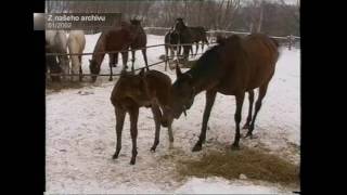 KTK studio - 20. 1. 2017, Magazín č. 1 - Archiv leden 2002