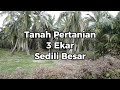 Tanah Pertanian Sedili Besar 3 ekar , Kota Tinggi Johor MURAH #2