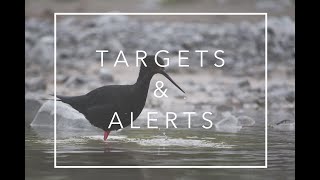 • eBird Targets & Alerts •