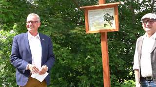 Der Waldlehrpfad in Haiger - Haigerer KulTÜRchen