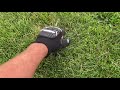 Pulling Tall Fescue Grass Weeds from Lawn for Healthy Yard