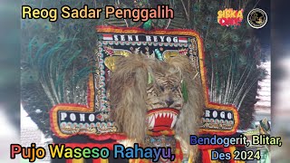 Reog Sadar Penggalih di Pujo Waseso Rahayu live Bendogerit, Blitar, Des 2024