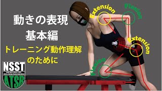 トレーニーのための筋トレ解剖学：動きの表現（第1弾）