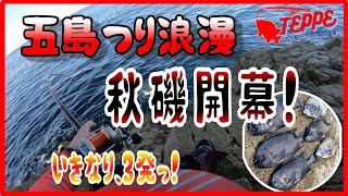 【五島 石鯛釣り】秋磯開幕っ！出だし好調、いきなり3発！富江・二子のシンナガ