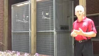 Daniel explains enclosures for corvids