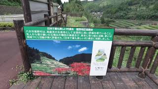 福岡県八女の星野村 石積の棚田。