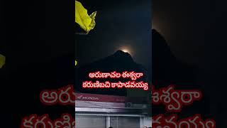 నిండు పౌర్ణమి నాటి అరుణగిరి అపురూప దర్శనం కోటిజన్మల పుణ్యఫలమే మరి 🙏🏻🕉️గిరిప్రదక్షిణ🙏🏻ఆలయదర్శనం కూడా