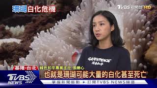 【十點不一樣】東北角.墾丁.蘭嶼都淪陷 台灣正面臨20年最嚴重珊瑚白化危機