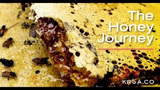 The Honey Journey_ภารกิจตามล่าหาน้ำผึ้งป่า