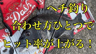 【ヘチ釣り】合わせ方ひとつでヒット率があがる！・・・【チヌ釣り　黒鯛　落とし込み】