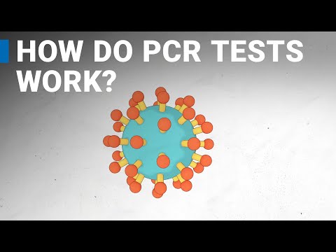 How can you detect COVID-19 from a PCR test?