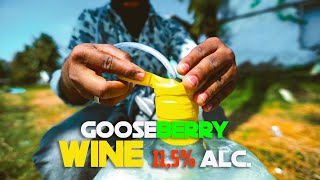 Gooseberry Wine: நெல்லிக்காய் ஒயின் தயாரிக்கும் முறை🍷 | Home Made | Part 1