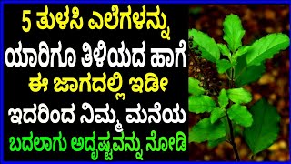 ತುಳಸಿ ಎಲೆಗಳನ್ನು ಈ 5 ಜಾಗದಲ್ಲಿ ಇಟ್ಟು ನೋಡಿ?_Best tips kannada tips