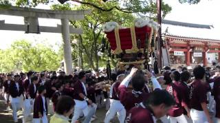 ２０１４年百舌鳥八幡宮ふとん太鼓（土師町子供太鼓宮出　本殿前）