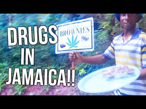They offered us WHAT in Jamaica?! They offered us WHAT in Jamaica?!