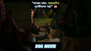 DOG movie explain in Bangla || Emotional movie explain in Bangla #shorts #dogmovie #movieexplained