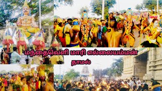 மந்தைவெளி மாரி எல்லையம்மன் கோவில் | காணும் பொங்கல் திருவிழா | தாமல் | காஞ்சிபுரம்