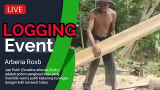 🔴LIVE Gmelina arborea Roxb Logging Event