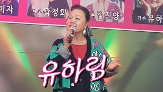 ⚘️가수 유하림 🎶당신때문에 🎶까치밥🌲김장 축제 (24,11,23)